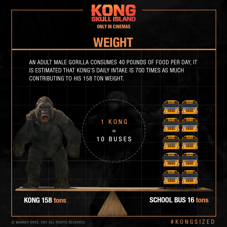 king kong height